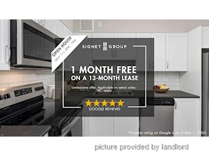 Image ViT 245996