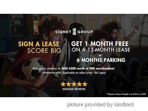 Image ViT 245996