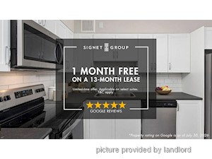 Image ViT 246007