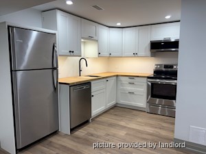 Image ViT 246096