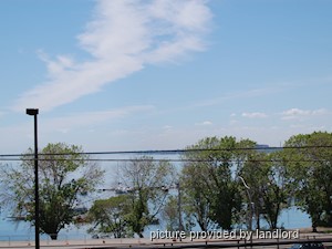 Room / Shared apartment for rent in TORONTO