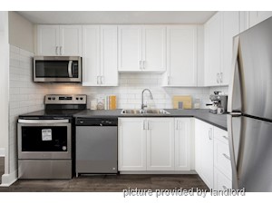 Bachelor apartment for rent in Kitchener