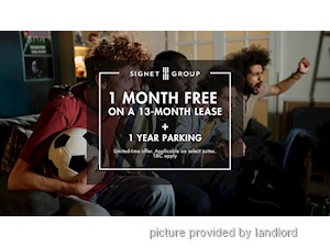Image ViT 246270