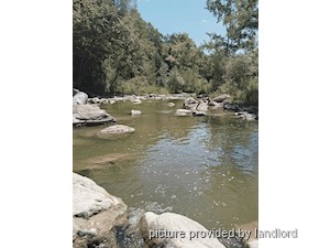 1 Bedroom apartment for rent in RICHMOND HILL