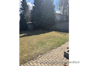 3+ Bedroom apartment for rent in TORONTO