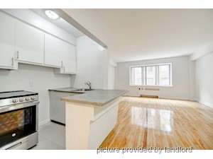 1 Bedroom apartment for rent in Montreal