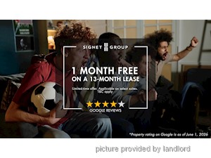 Image ViT 246473