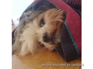 2 Bedroom apartment for rent in TORONTO