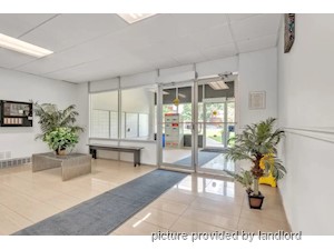 2 Bedroom apartment for rent in Kingston