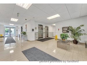 2 Bedroom apartment for rent in Kingston