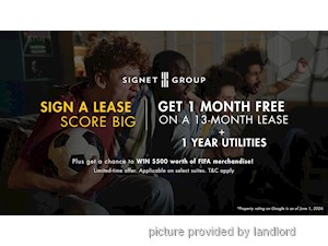 Image ViT 246523