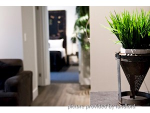 1 Bedroom apartment for rent in TORONTO