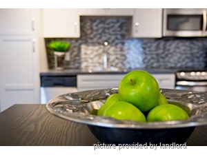 1 Bedroom apartment for rent in TORONTO