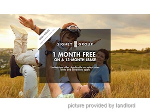 Image ViT 246549