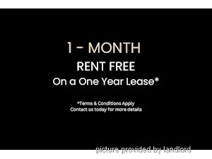 1 Bedroom apartment for rent in TORONTO