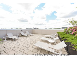 1 Bedroom apartment for rent in TORONTO