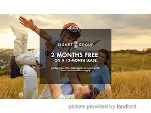 Image ViT 246621