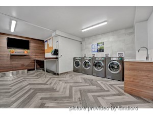 1 Bedroom apartment for rent in Vancouver