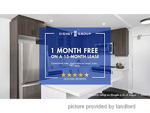 Image ViT 246667