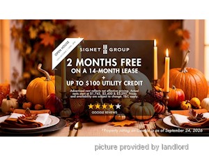 Image ViT 246677