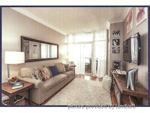 1 Bedroom apartment for rent in TORONTO