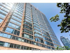 1 Bedroom apartment for rent in TORONTO