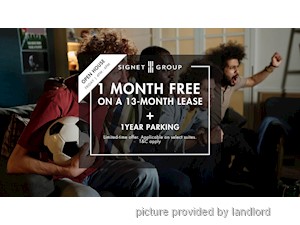 Image ViT 246747