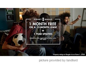 Image ViT 246762