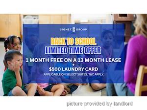 Image ViT 246768