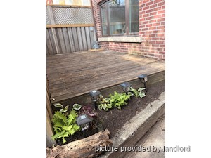 Image ViT 246797
