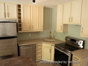 Image ViT 246816