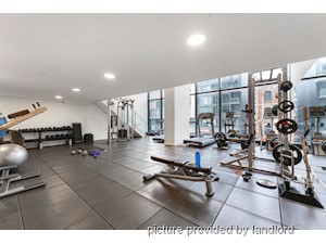 Bachelor apartment for rent in TORONTO