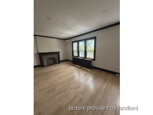 Image ViT 246927