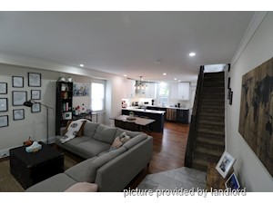Image ViT 246949