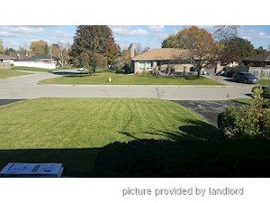 Image ViT 246954