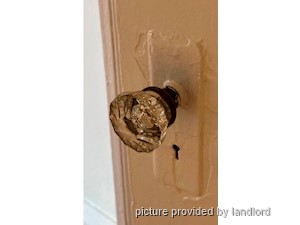 1 Bedroom apartment for rent in TORONTO