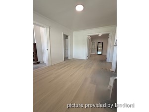 Image ViT 246996