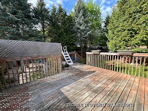 2 Bedroom apartment for rent in NEWMARKET