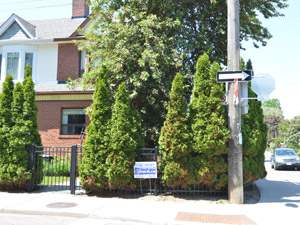 1 Bedroom apartment for rent in TORONTO