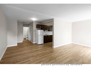 1 Bedroom apartment for rent in London