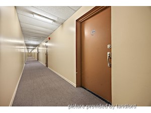 1 Bedroom apartment for rent in Cambridge