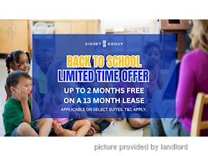 Image ViT 247146