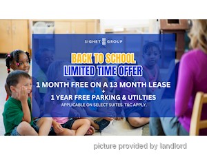 Image ViT 247173