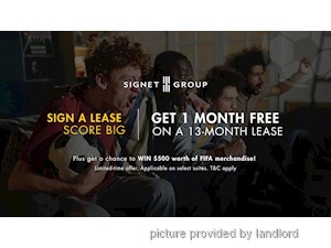 Image ViT 247195