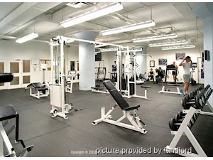 1 Bedroom apartment for rent in TORONTO