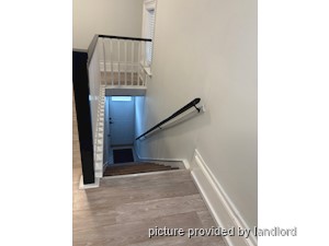 Image ViT 247269