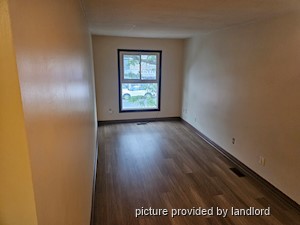 Image ViT 247337
