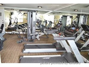 3+ Bedroom apartment for rent in TORONTO