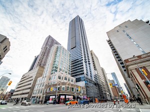 Image ViT 247403
