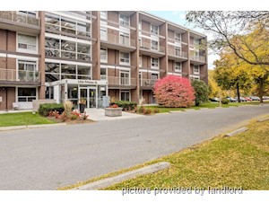 1 Bedroom apartment for rent in Kingston